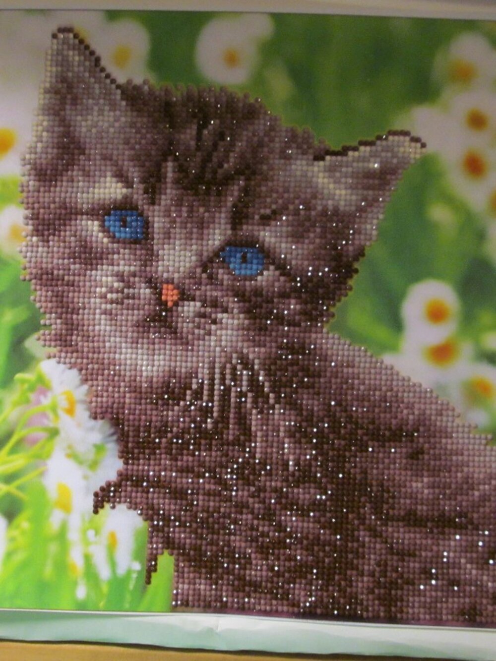 Brown Kitten Diamond Art Picture #1412026